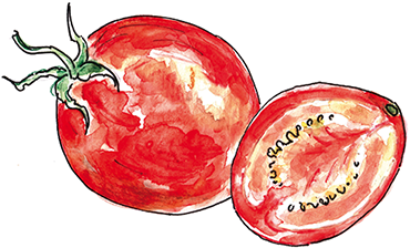 Saatgutleihen Tomate